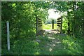 Bridleway Bridge by Rookwoodhall Wood