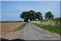 Ryton Rigg Road towards Great Habton