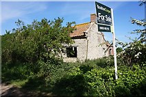 SE7775 : Disused cottage for sale on Ryton Rigg Road by Ian S