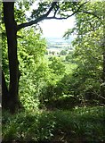 TQ4951 : View from the Greensand Way by Marathon