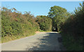 Lane near Wiverton