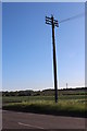 TL2556 : Old style telegraph pole on the B1040 by David Howard