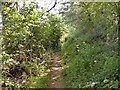 Footpath from Spring Lane to Lambley