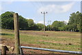 Pylons in field on Edwards Terrace