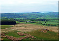 View to Kirkbride Farm