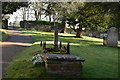 TL5533 : Churchyard, St Mary's Church by N Chadwick