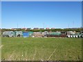 Allotments, Gosforth Park, Newcastle