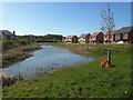 Balancing Pond, White House Drive, Killingworth