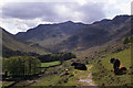 Path through Grisdale at Braesteads