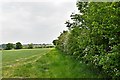 Weybread: Public footpath