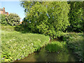 Wortley Beck below Granny Lane