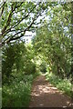 Byway approaching Dagnets Farm