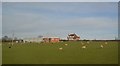 Farm buildings by the A51