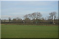 Farmland by West Coast Main Line