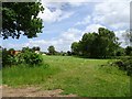 Crockington Lane Path View