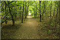 Footpath through New Close