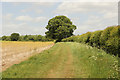 Track to Stone Lane