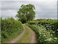 Three Croft Field Lane