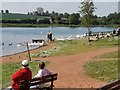 Swans at Thrybergh Reservoir