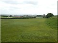 Grassland north of Blackhorse Lane