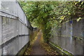 Footpath by the Piccadilly Line