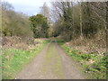 Track into Downley Common