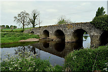 H4869 : Bloody Bridge, Edenderry by Kenneth  Allen