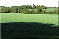 View across the fields to St Dunstan