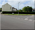 Long hedge, Longbridge, Ponthir, Torfaen