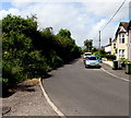 Station Road trees and bushes, Ponthir, Torfaen