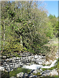 NY7246 : Small waterfall on the River Nent by Mike Quinn