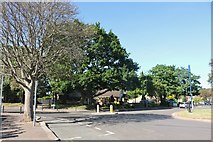 TQ0997 : Roundabout on Langley Way, Cassiobury by David Howard