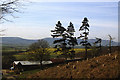 Above Bankside Farm, Kildale