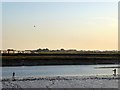 Anglers, River Adur