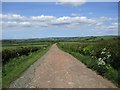 Farm road near Auchenheath