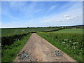 Bend in the farm road, Auchenheath