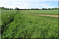 Drainage ditch and track towards Mavourn Farm