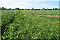  : Drainage ditch and track towards Mavourn Farm by Philip Jeffrey