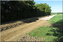  : Bridleway making tracks to Brook Farm by Philip Jeffrey
