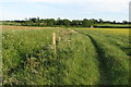 Drainage ditch and footpath to Crow Hill