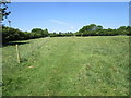 Footpath to Allington