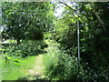 Back Lane, Allington