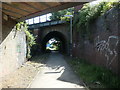 SE3320 : Smithson's Tramroad under the L&Y railway, Wakefield by Christine Johnstone