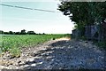 Linstead Park: Farm track at the side of 