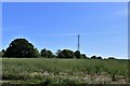 Metfield Common, Grove Farm: Mast at Catkin Farm