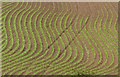 SK6944 : Field patterns by Alan Murray-Rust