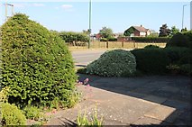 SP0762 : Garden on Alcester Road, Studley by David Howard
