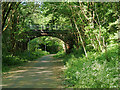 Bridge over Daisyfield Greenway