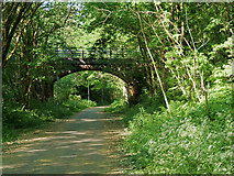 SD7910 : Bridge over Daisyfield Greenway by David Dixon