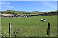 Sheep Grazing, Girvan